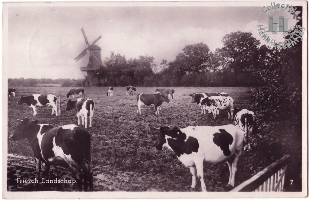 Ureterp Molen de Bruinvisch, onttakeld 1925 (door: Sicco Fockens)