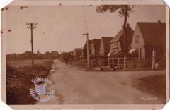 ca. 1920
